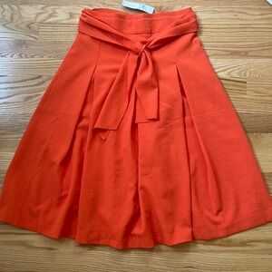 Ann Taylor Skirt